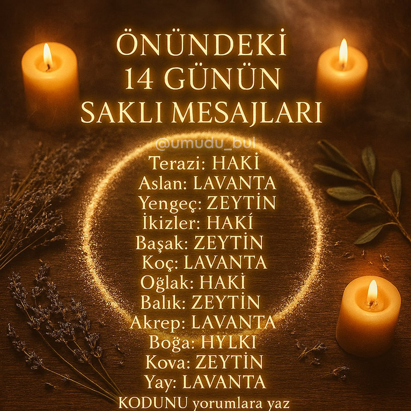 photo 2 2025 11 04 17 41 45