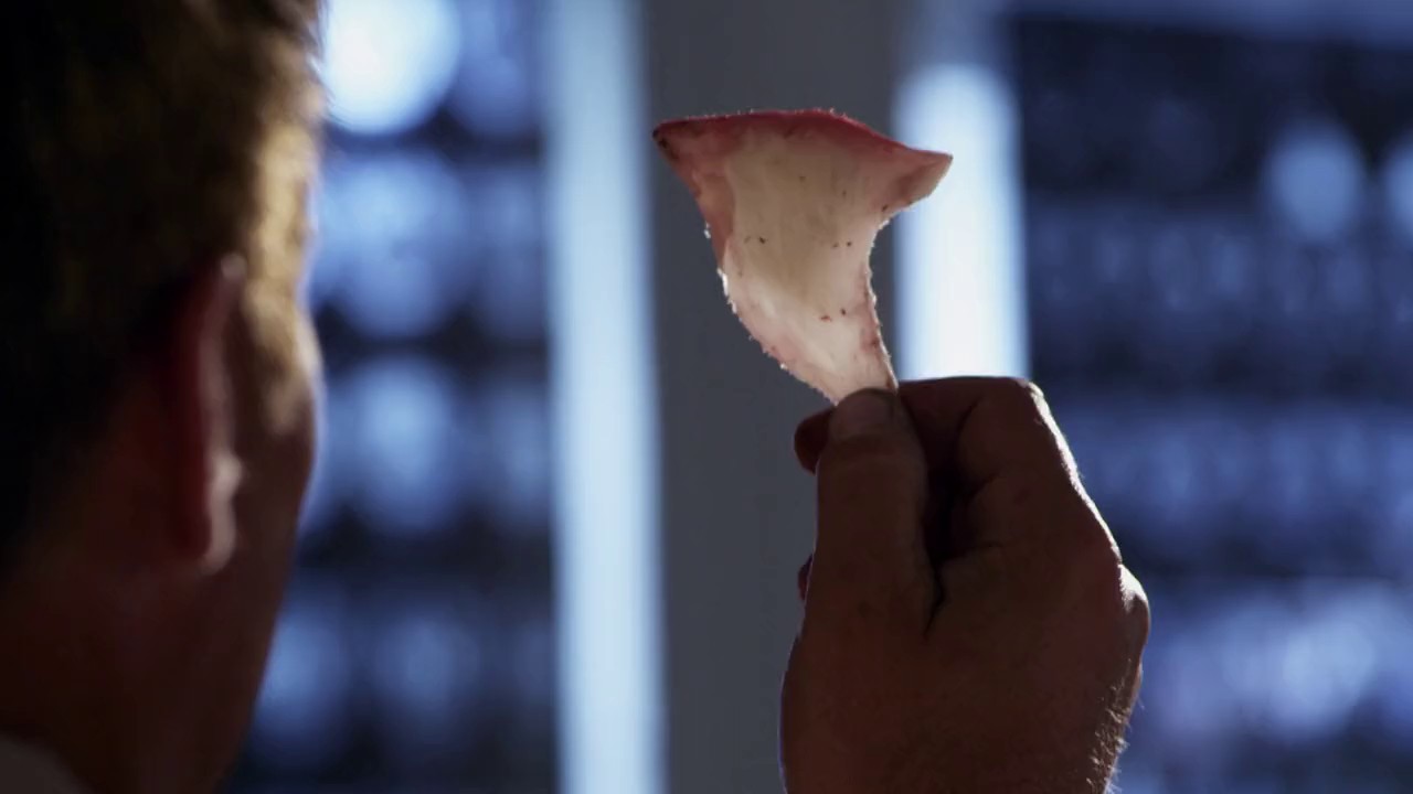 Sand-Sharks-2011-WEBRip-English-720p-x264-AVC-AAC-2-0-mp4-0001