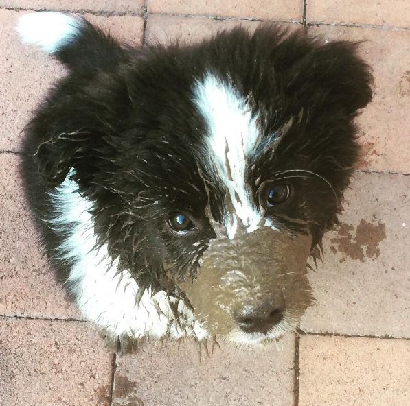 Anya with a muddy face