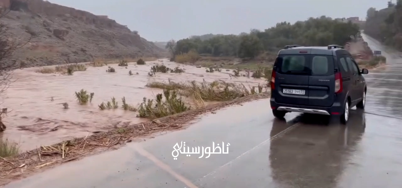 VN20260202-235230-00-01-04-10-Still011