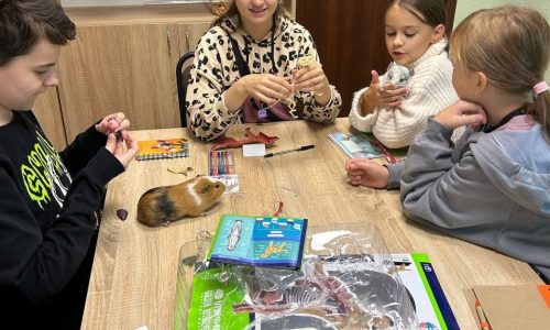 Заняття з ветеринарії