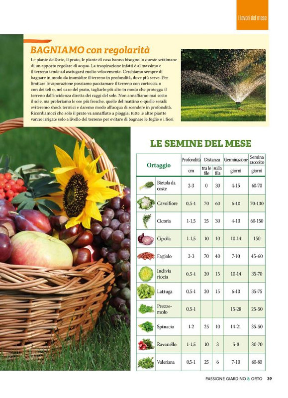 Pass Giar e Orto Ago 2025 (2)