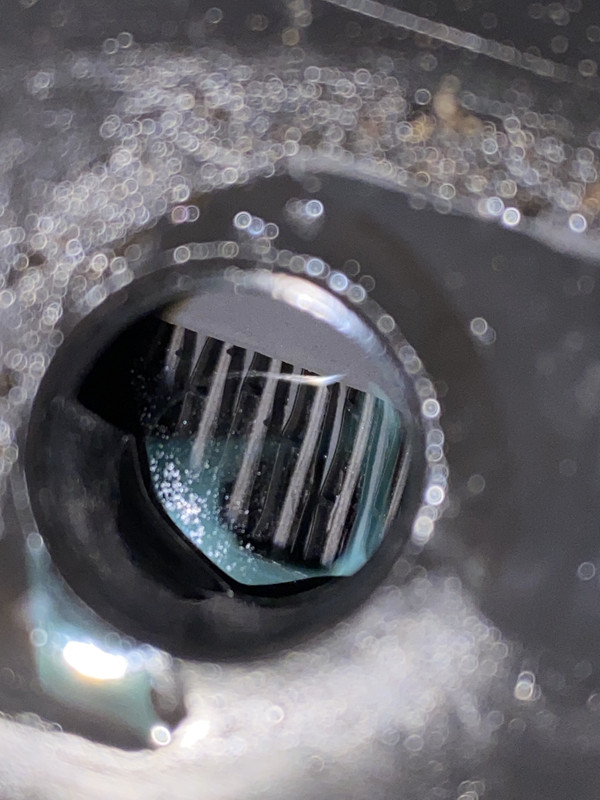 F7734174-C546-43BB-B81C-E759F55F72E6