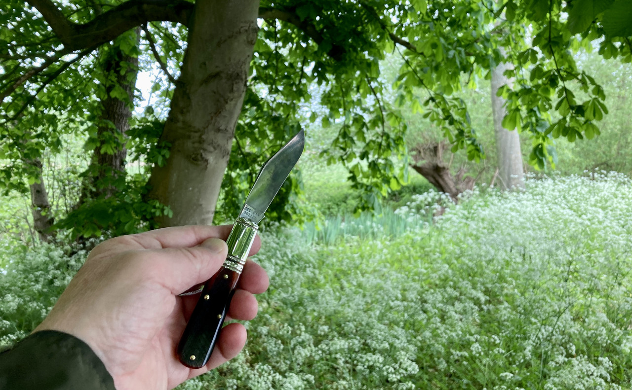 9B08A06E-3047-4A5F-B560-394DB1D27ECE