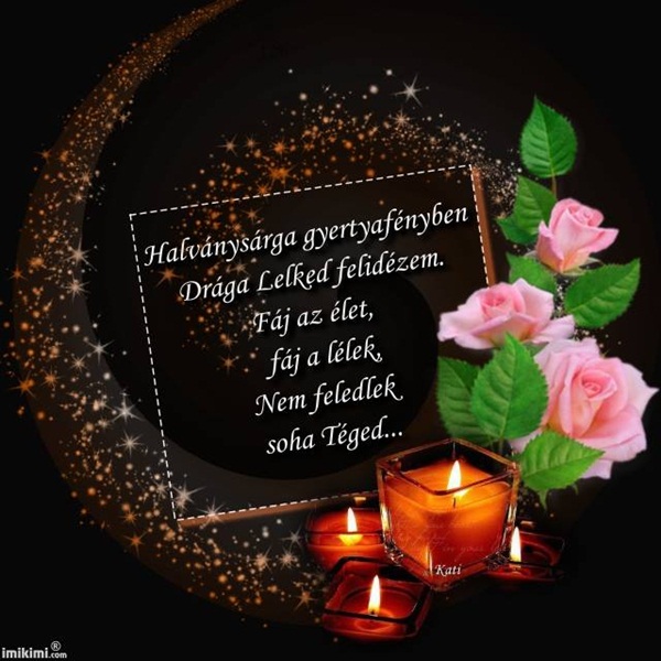 10502536_494689573964794_7352477303322802827_n