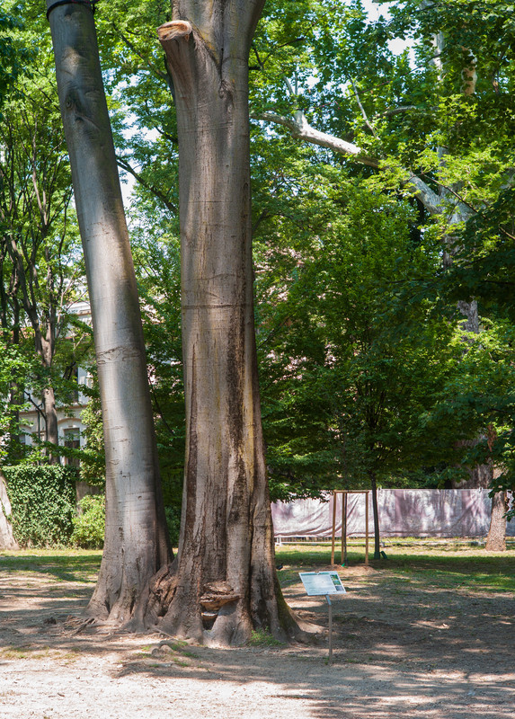 Leica M8 LR 1091750