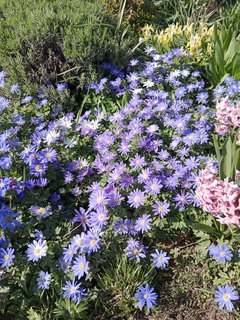 IMG_20240427_102420
