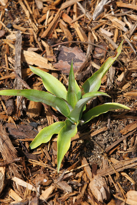 4C015B4A-8FA4-44C8-A8E7-2996CCB3D273