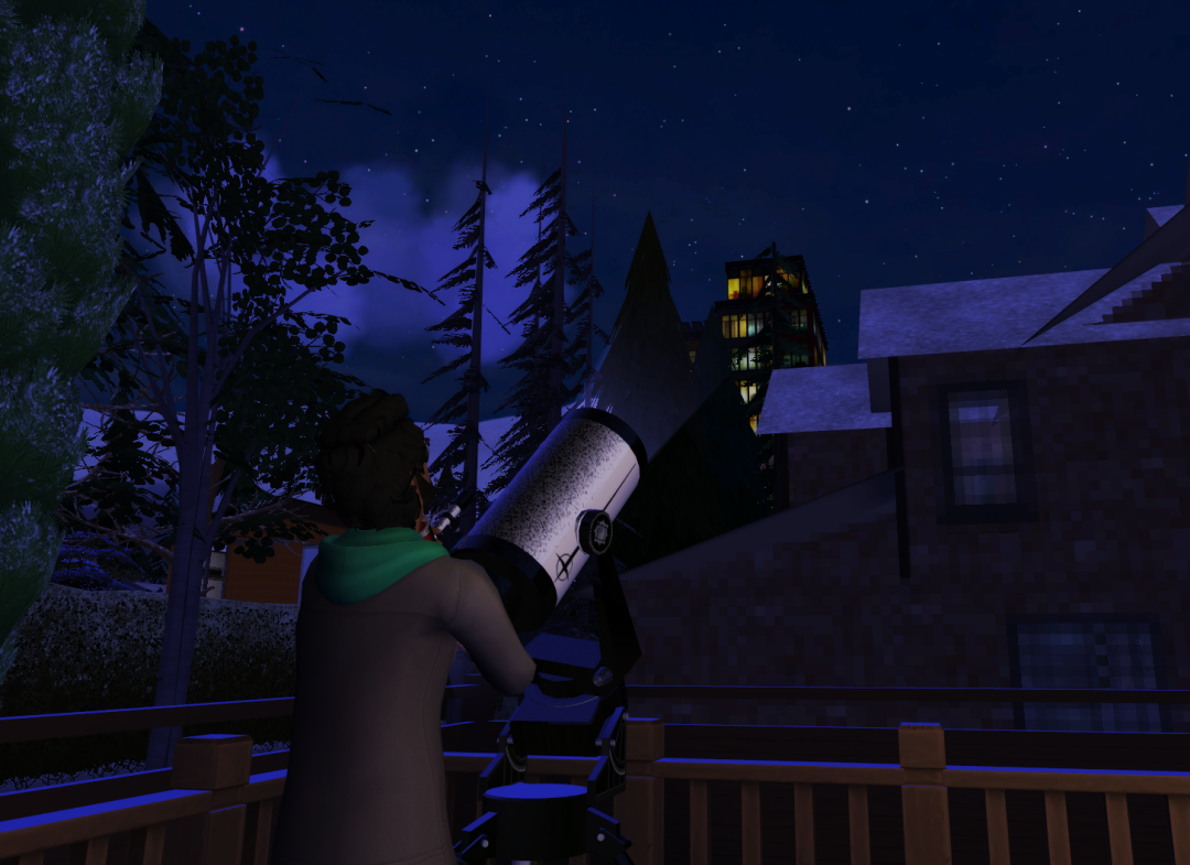 Sims2-EP9-RPC-2023-01-28-21-51-11-55