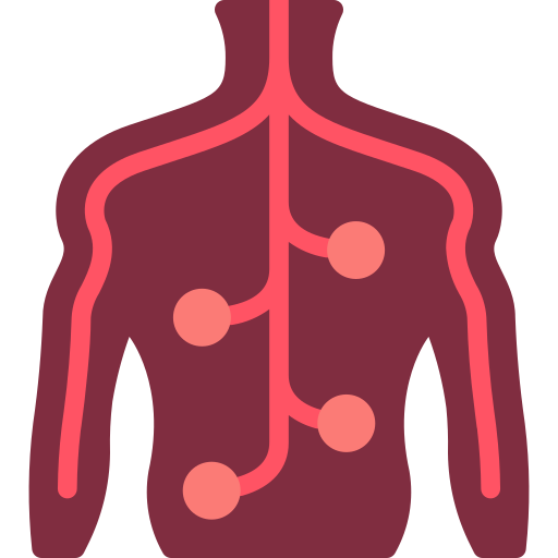 Logo Articulations Thorax