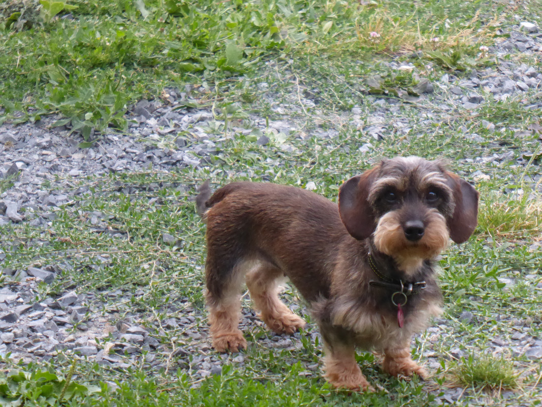 [Image: P1030408.jpg]