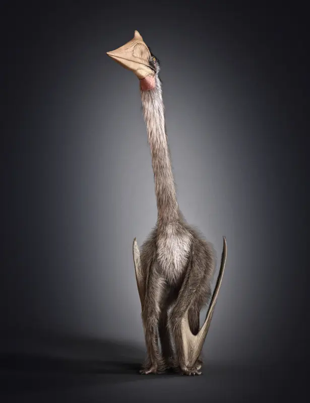 Quetzalcoatlus by AM
