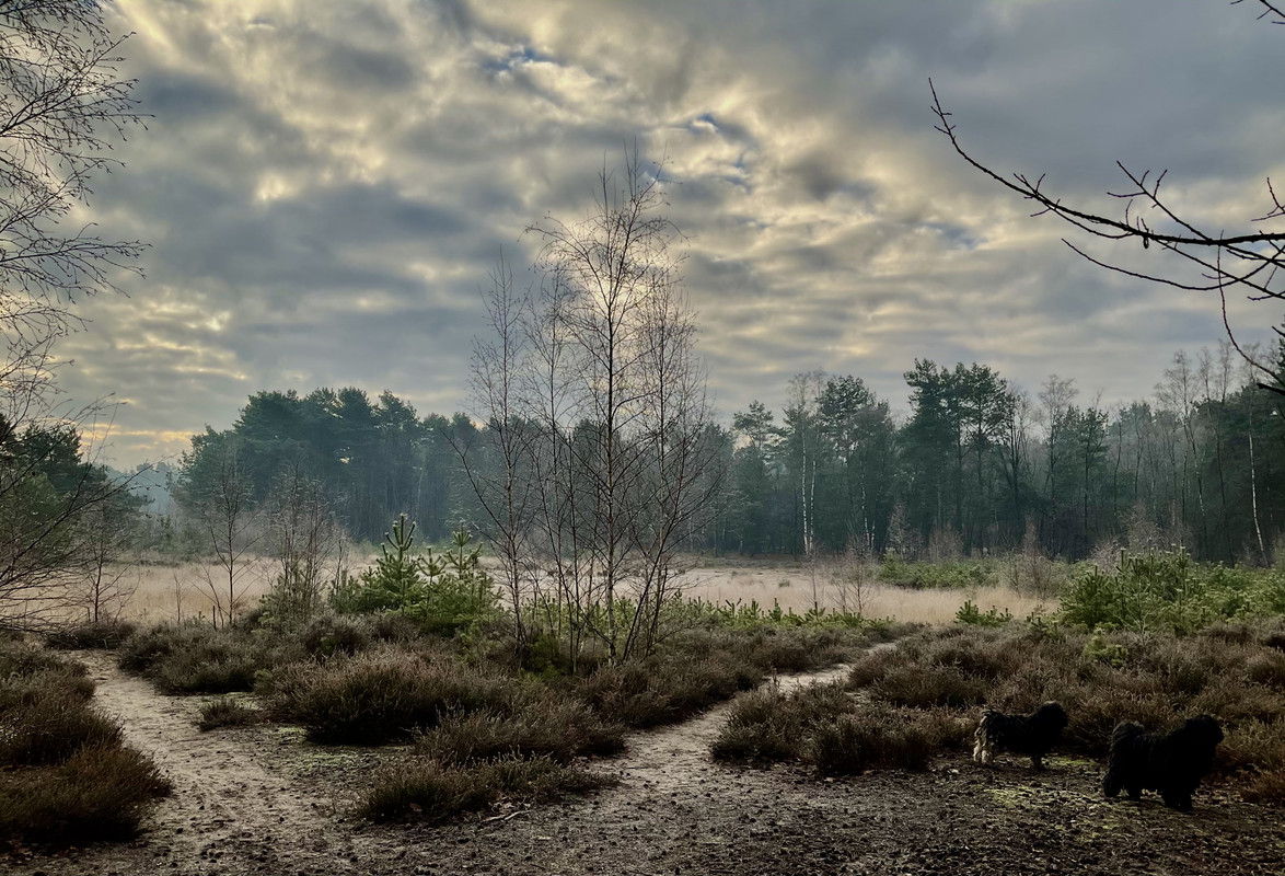 37C5B6D9-9E06-4607-9C6A-3F191FA34A9D