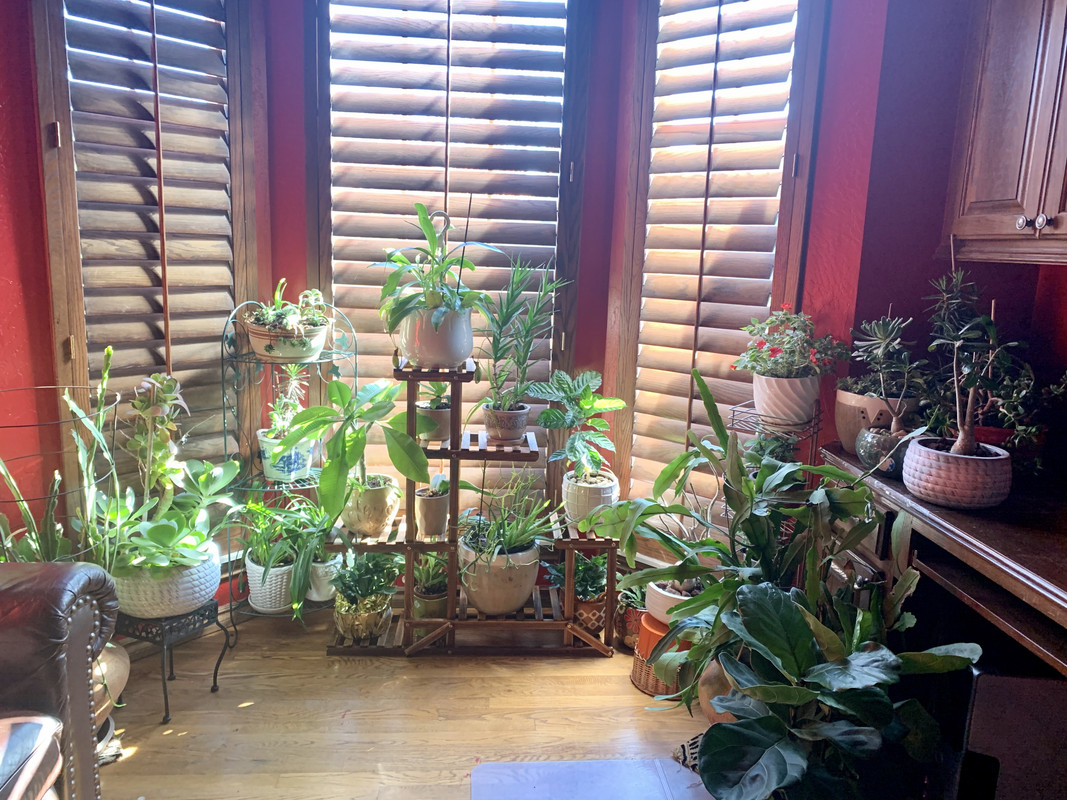 20248DAD-7265-4CC7-B142-897970D38E58