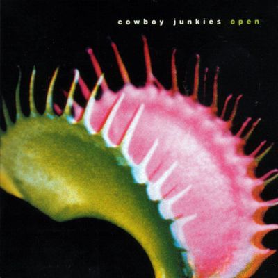 Cowboy Junkies - Open (2001) [Hi-Res SACD Rip]