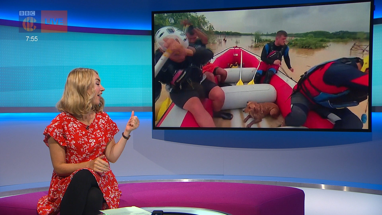 Newsround_20220629_07450800.ts_snapshot_11.55.597