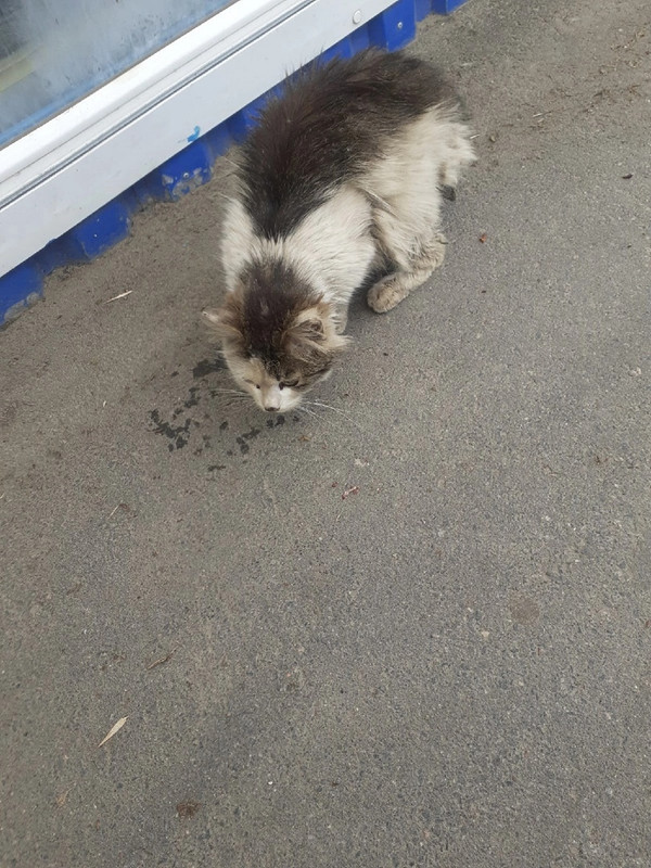 1B6E6053-F95D-4528-ABDD-5DD8B853C8DE