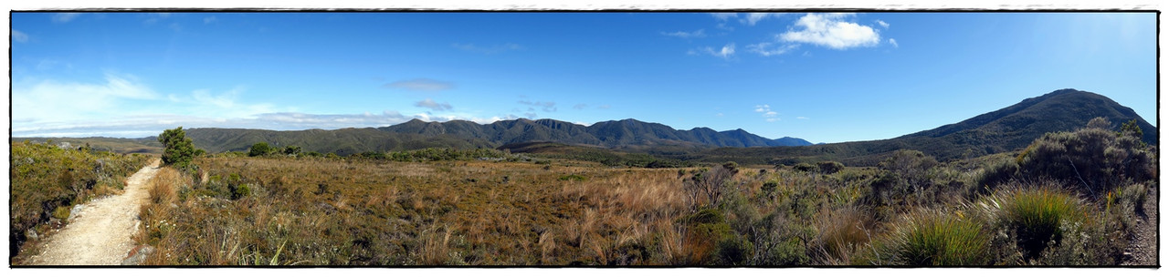 Escapadas y rutas por la Nueva Zelanda menos conocida - Blogs de Nueva Zelanda - Kahurangi NP: Heaphy Track (Navidad 2020, III) (13)