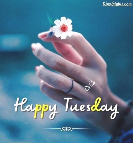 TUESDAY-mardi-3