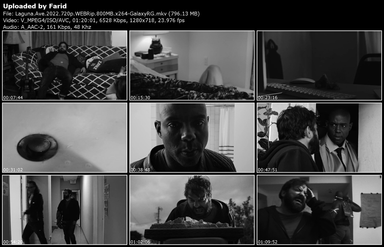Laguna-Ave-2022-720p-WEBRip-800-MB-x264-Galaxy-RGTGx.jpg