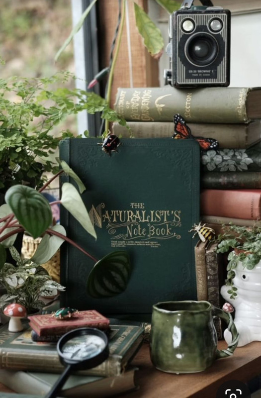 Screenshot_20231031_222229_Pinterest