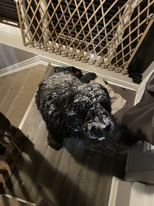 6FDF95EC-C4B8-445E-A582-B51220B5BAEB