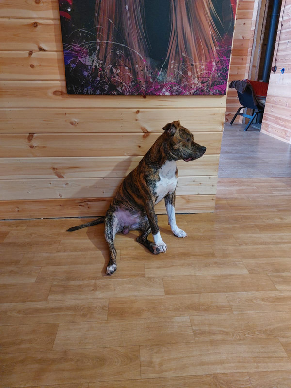 BF4CF40C-586A-4729-A36B-BF45AA5D4A13