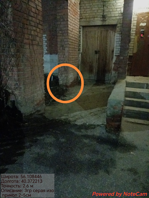 20251207 185622 edit 427463868107094