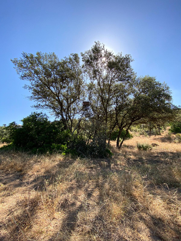 PHOTO-2020-06-14-11-35-23 (2)