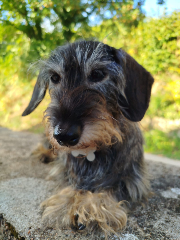 [Image: IMG-20250823-WA0001.jpg]