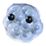 Frogspawn
