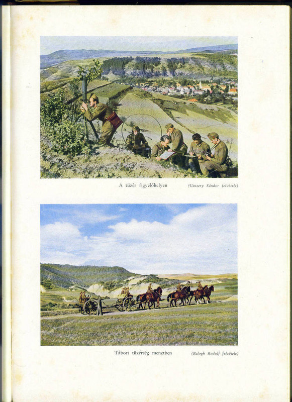 2013. augusztus 5. (4)