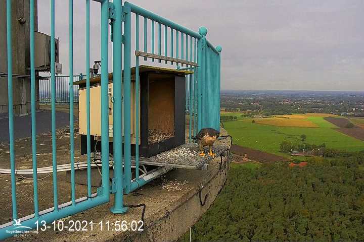 campics vanaf 1 juli © VWGGemert en bonusjes van ter plekke - Pagina 35 V4