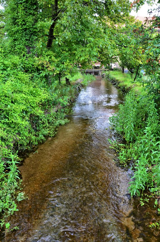 CAMINO DE SANTIAGO-23-6-2013-BELORADO - Paseando por España-1991/2016 (7)