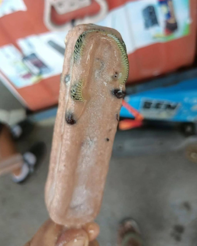 photo_2025-03-06_21-43-53 (2)