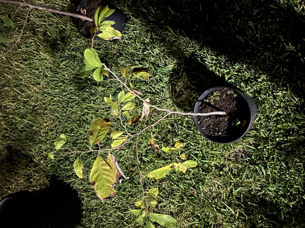 F37F7946-9883-4031-9428-F7A3482D2374