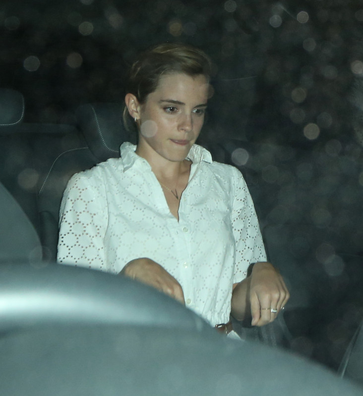 watsonuncensored.blogspot.com (53)