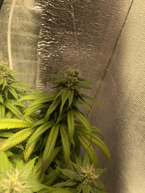 görsel 2026 03 05 181755620