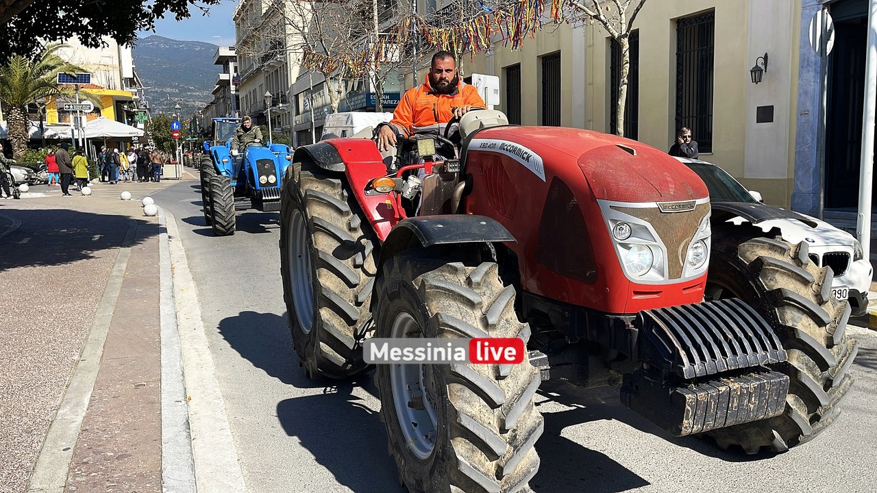 agrotes-IMG-9554