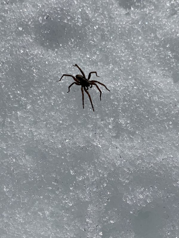 FE06A884-4598-4BF6-AE1B-395541DC62E6