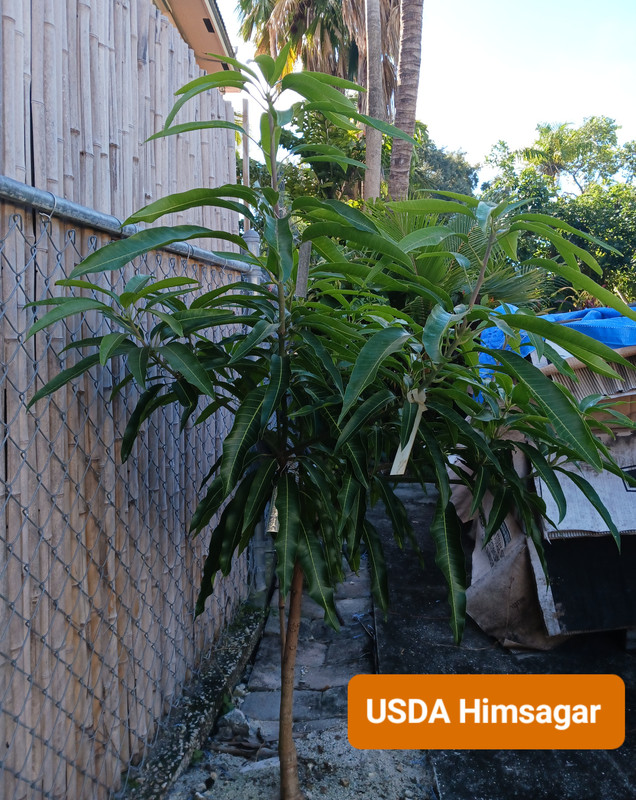 20241127_095616