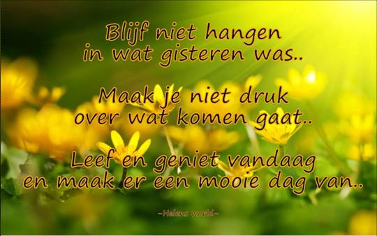 Welkom op blog Jodelsy