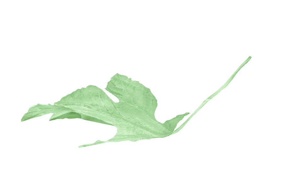 WINTER LOVE_DBJ-ELEM (45)