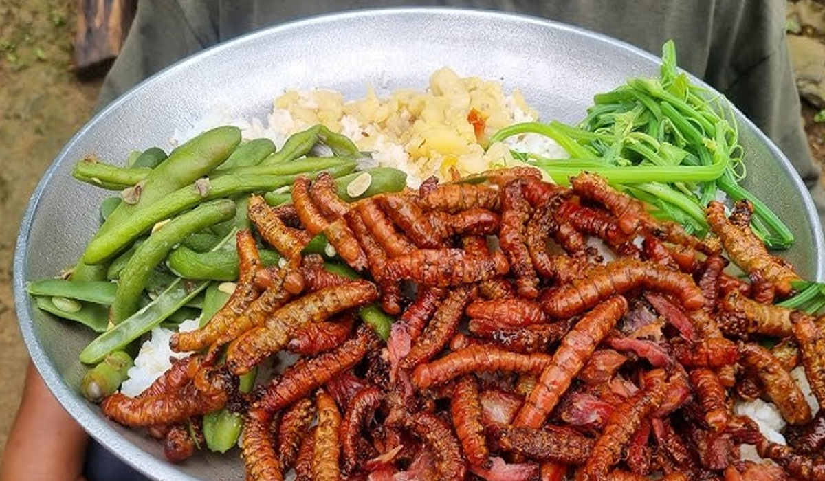 Silkworm Curry: Kuliner Ekstrem yang Jadi Makanan Favorit di Timur Laut India!