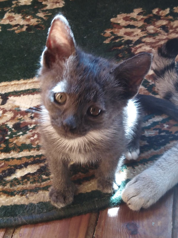 3F2CA8AB-179B-4DAC-BB19-C892856911A7