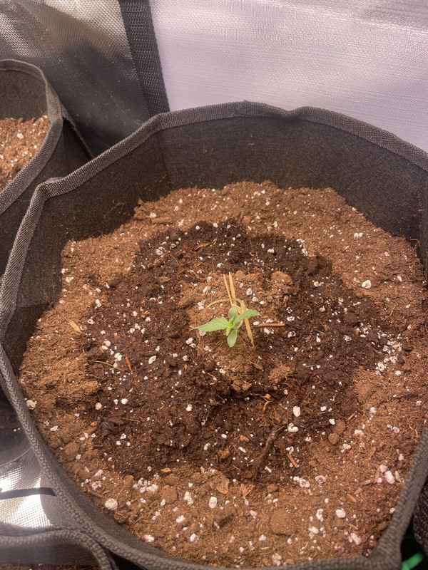 F68BCC71-3CD2-4800-B066-E84389BE4148