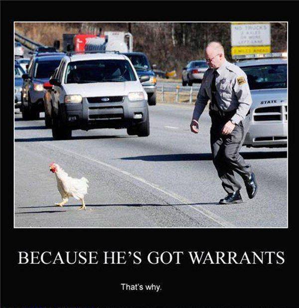 Chicken-Crossed-The-Road-Warrants.jpg