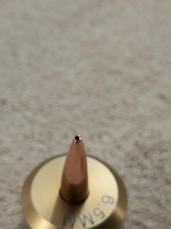 IMG_20241226_155437995