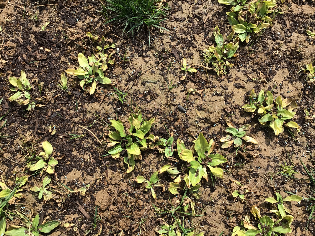 26516E50-9A3E-4299-BC3F-18C2A40CA4AB