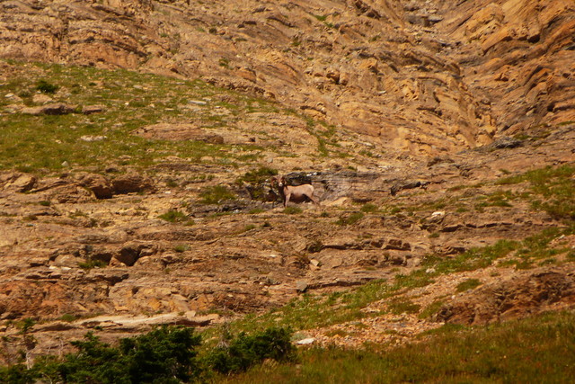P1290236